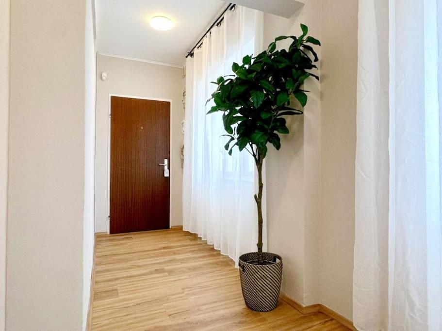 Next To Shopping Street I 5 Minutes To Inner Apartment *